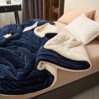Manta cálida de doble cara para invierno, manta gruesa de franela de imitación de forro polar, colcha cómoda, Sábana - details 14