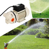 Bomba de Diagrama 230 V Autocebante, 34 l/min, Conexiones, Bomba de Agua - details 12