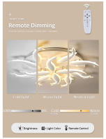 Luz de Techo Moderna Simple Koi 100CM Luz de Estudio LED Art para Dormitorio Restaurante - details 1