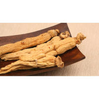 Panax Ginseng Root Ferment Extract