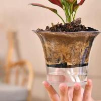 Maceta de plástico transparente para plantas con riego automático, cuadrado, nuevo diseño, para jardín - details 10