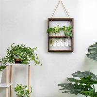 Plantas colgantes montadas en la pared, tubo de ensayo, flor, brote, Terrario de vidrio, marco de madera para el hogar, jardín, decoración de boda - details 6