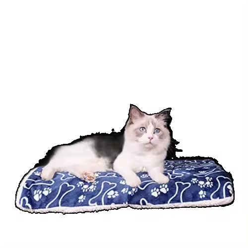 Alfombra práctica para dormir para mascotas de dibujos animados, funda cómoda para cama de perro, cojín suave y cálido para sofá para perros y gatos - 1