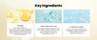 Key Ingredients