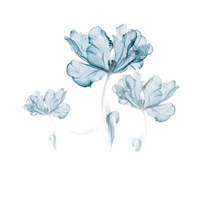 Pegatinas y calcomanías de pared florales azules, calcomanías artísticas extraíbles para dormitorios y habitaciones de verano - 1