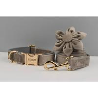 Juego de Collar y correa de terciopelo para perro, placa de identificación grabada personalizada, suministros para mascotas, color gris claro, 12 - details 4
