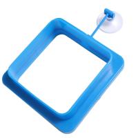 Anillo de alimentación flotante grueso, ventosa, anillo de alimentación de plástico para peces, bandeja flotante redonda/cuadrada para alimentos, acuario - details 4