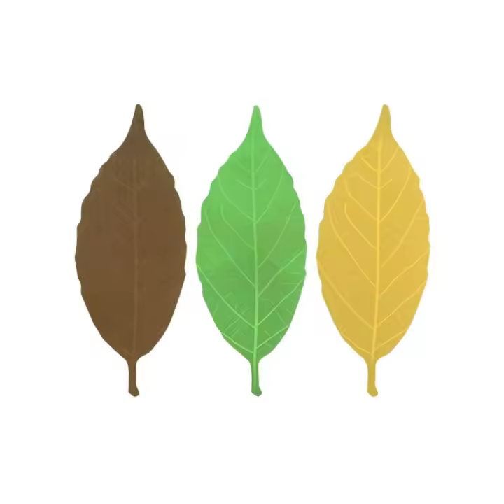Marcas de libros de hojas que cambian de color con temperatura, diseño único, termómetro de hojas, lectura de libros, amantes, Clip de libro, hoja - 1