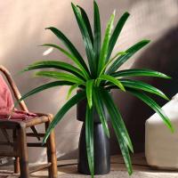 Planta de Magnolia Artificial Trópico Dragón Barba Hojas de Orquídea Falsas - details 0