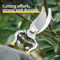 Tijeras De Poda Deli De 8.5 Pulgadas Herramienta De Jardín Para Bonsái Y Metal Escarabajo De Mano Herramienta De Poda - details 0
