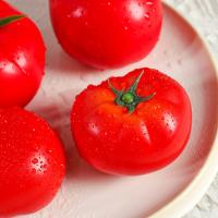 Mini adorno de tomate Artificial, modelo de tomate de simulación de plástico realista, artesanías, accesorios de verduras falsas, decoración del hogar, 5 uds. - details 8