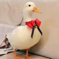 Corbata hecha a mano para mascota, pollo, pato, ganso, loro, venta de corbata con cuello de pájaro, 1 ud. - details 2