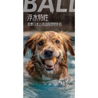 Pelota resistente a mordeduras molares para perros, pelota de entrenamiento para morder, juguete con sonido tpr - details 7