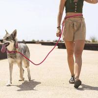Correa perro en forma P ustable multifuncional, cadena cintura, cables cuerda de tracción para correr, caminar, correas manos - details 5
