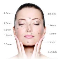 Dr Pen Ultima M8 pluma de microagujas profesional inalámbrica Derma Auto Pen el mejor Kit de herramientas para el cuidado de la piel para cara y cuerpo 2 uds 16 pines - details 2
