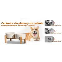 cuenco comida perro
