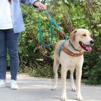 Collar de Cuero de Nylon para Perros Correa de Captura de Mascotas sin Tirón para Perros Pequeños y Grandes Correa de Vestir de Mascotas - details 25
