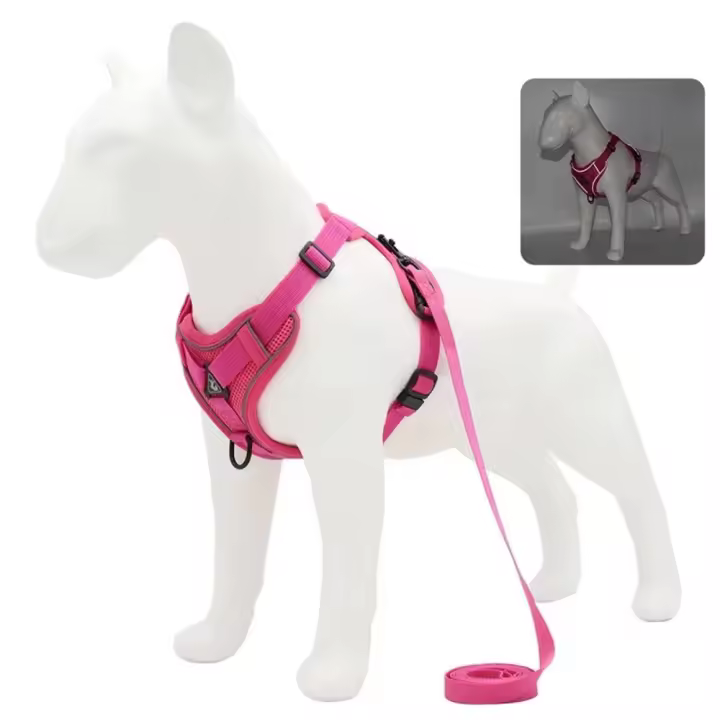 Conjunto de Arneses y Correa para Perros sin Tirones Chaleco Ajustable con Arneses para Mascotas Pequeñas y Medianas, Correa para el Pecho de Malla Reflectante - 1