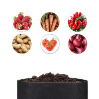 Juego de 5 bolsas para cultivo de plantas, 5 unidades - details 2