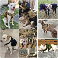 Arnés Táctico Grande para Perros Militar Apto para Shepherd Alemanes y Malinos Con Cinturón y Llavero Accesorios para Entrenamiento de Mascotas - details 8