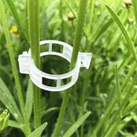 Herramienta de jardín de plástico transparente para plantas, paquete de 50 paquetes de plantas alrededor de enredaderas, clip de injerto de rejilla de tomate - details 2