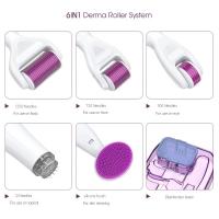 Sistema de rodillos de belleza 6 en 1, instrumento de agujas cosméticas y para el cuidado de la piel de titanio para la cara - details 6