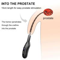 Vibrador Uretral Eléctrico Masajeador de Ojos de Caballo Estimulador de Sonido Expansor de Plug - details 6