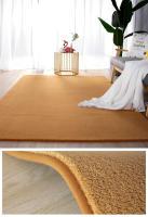Alfombra de Terciopelo de Coral Gris Gruesa, Antideslizante, Ideal para Sofá de Estar, Dormitorio, Balcón - details 14