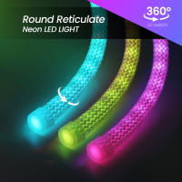 Luz de neón LED WS2812B RGB de 5V, cinta de píxeles flexible direccionable individualmente, Color de ensueño, tira de LED USB, lámpara de cuerda de silicona impermeable - details 10