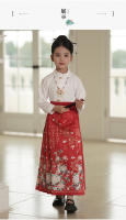 Falda Ma Mian Hanfu conjunto mejorado estilo chino antigua dinastía Ming disfraz Tang verano para niños - details 6
