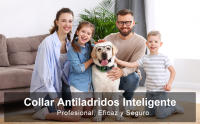 Collar Antiladridos