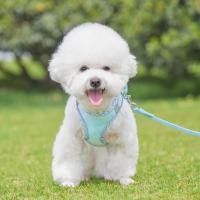 Juego de arnés correa Pincher caminar al aire libre, perros pequeños y medianos, chaleco para mascotas, arneses, accesorios - details 9