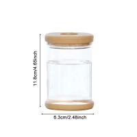 Florero de plástico hidropónico transparente, maceta de estilo Simple, arreglo wer, adorno de mesa de ración para el hogar - details 5
