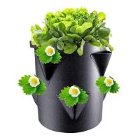 Cultivo de bolsas no tejidas de fresa de 6 lados, ETA para cultivo de plantas en jardín - details 0