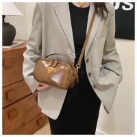 Bolso de almohada de moda 2025 Nuevo, bolso retro de cien hombros, bolso casual para mujer, negro - details 13