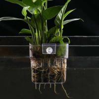 Burbujas acuario agua hierba taza múltiples plantas hidropónicas cesta de plantación hidropónica para paisaje de pecera - details 0