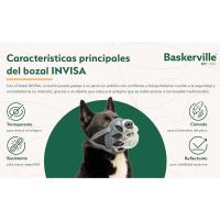 Baskerville Bozal