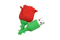 JASTER Drive USB Floral de 64GB Llavero de Memoria en rojo, azul, amarillo, rosa - details 4