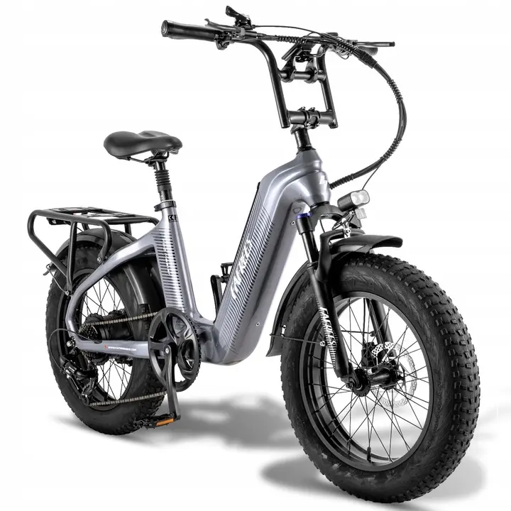 FAFREES F20 Master Bicicleta Eléctrica, Marco de Fibra de Carbono, Motor de 500W, Batería de 48V 22.5Ah, Neumáticos de 20*4,0 Pulgadas de Espesor, Frenos hidráulicos dobles, SHIMANO de 7 Velocidades, Pantalla LCD en color, Gris - 1