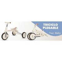 Triciclo evolutvio