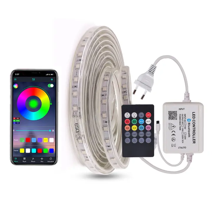 Tira de luces LED RGB con Bluetooth, cinta Flexible de 220V, 5050, 60Leds/m, resistente al agua IP65, para exteriores, con mando a distancia - 1