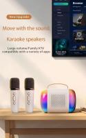 Micrófono inalámbrico Y5, máquina de Karaoke con Altavoz Bluetooth, luces RGB de fantasía, efectos, Subwoofer HIFI, KTV, sistema de sonido DSP, Y3, Y2, Y1 - details 0