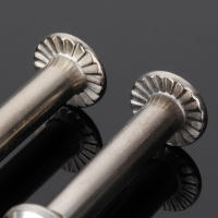 10Pcs Diameter 6mm *31mm/36mm Roller Parts Axle Male & Female Screws for Child Kid Adult Free Skating Inline Skates Wheel - details 5