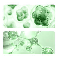 Crema para ojos de aguacate, eliminación de ojeras, bolsas para los ojos, hinchazón, cremas hidratantes antiarrugas para los ojos, productos para el cuidado de la piel - details 9