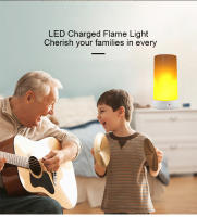 Bombilla de luz LED con efecto de llama, lámpara de Ambiente de llama decorativa parpadeante con carga USB, barra de fiesta de fuego vívido Artificial - details 10