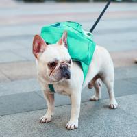 Mochila multifuncional para perros pequeños, bolsa de aperitivos para cachorros, Bulldog Francés, Corgi, gran espacio, suministros de viaje al aire libre - details 3