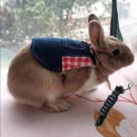 Disfraz de Conejo de Denim Correa con Hebilla para Mascotas Pequeñas Accesorios para Mascotas de Guinea Pig - details 12