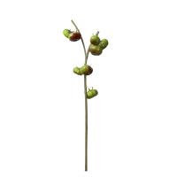 Nuevo adorno de espuma de rama de calabaza Artificial Multicolor, accesorios para fotos de fruta de imitación, regalo de rama de calabaza de simulación - details 10