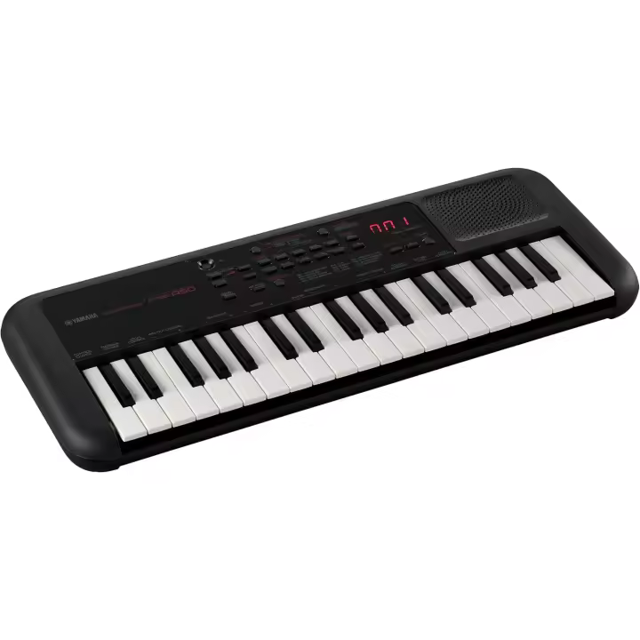 PSS-A50 - Teclado USB portátil digital con grabación de frases, 42 voces integradas y 138 tipos de arpegios con un diseño ligero, en color negro, 37 Key - 1