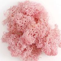 Musgo eterno, manualidades DIY, hierba, 20/40/100g, plantas verdes artificiales, decoración del hogar, habitación, jardín, mini país, hierba falsa - details 11